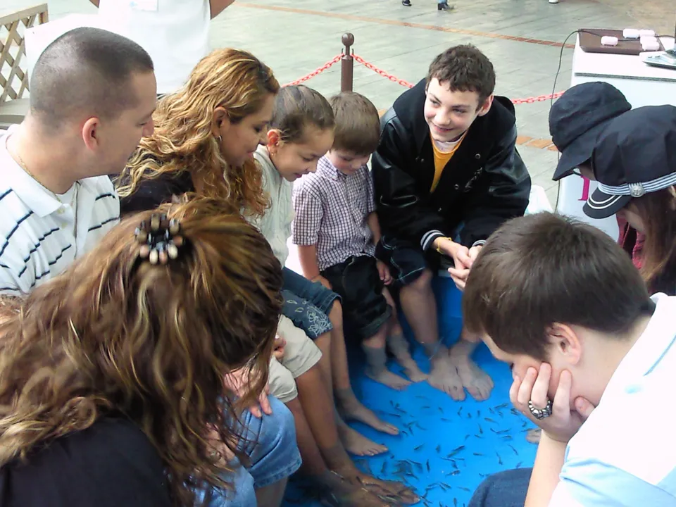 フィッシュセラピー gallery