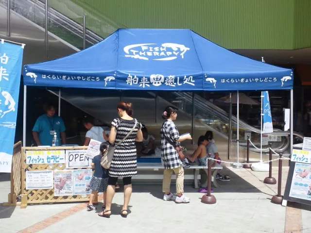 フィッシュセラピー gallery